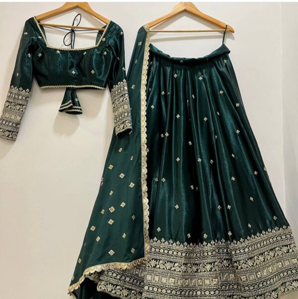 Lehenga - Siqwans work